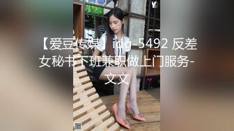 【爱豆传媒】idg-5492 反差女秘书下班兼职做上门服务-文文