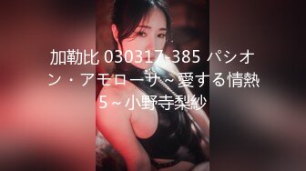 加勒比 030317-385 パシオン・アモローサ～愛する情熱5～小野寺梨紗