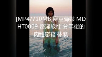 [MP4/710MB]麻豆傳媒 MDHT0009 奇淫旅社 分手後的肉體慰藉 林襄