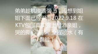 弟弟趁机摸逼强上，没想到姐姐下面已经很湿2022.9.18 在KTV包间真实强上醉酒亲姐，哭的撕心裂肺，全程喷水（有露脸）1