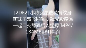 [2DF2] 小陈头星选花臂纹身萌妹子双飞啪啪，翘屁股摸逼一起口交舔弄后入猛操[MP4/184MB][BT种子]