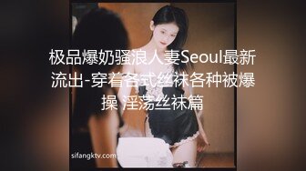 极品爆奶骚浪人妻Seoul最新流出-穿着各式丝袜各种被爆操 淫荡丝袜篇