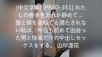 (中文字幕) [PRED-351] わたしの疼きをだれか静めて… 誰と体を重ねても満たされない私は、今日も初めて出会った男と快楽だけの中出しセックスをする。 山岸逢花