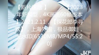 【新片速遞 】 ♈ ♈ ♈【2023年新模型，4K画质60帧版本】2021.2.11，【探花郎李寻欢】，上海外围，极品御姐，无水印[6530MB/MP4/55:20]