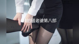 我的骚老婆第八部