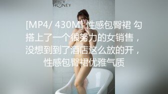 [MP4/ 430M] 性感包臀裙 勾搭上了一个很努力的女销售，没想到到了酒店这么放的开，性感包臀裙优雅气质