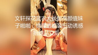 文轩探花蓝衣大长腿高颜值妹子啪啪，情趣透视装扭动诱惑抬腿站立后入