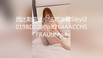 西比勒蓝光中法双字幕Sibyl2019BD1080pX264AACCHSFRAUUMp4