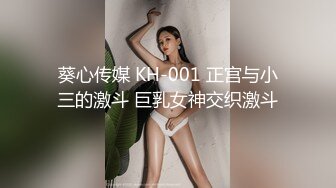 葵心传媒 KH-001 正宫与小三的激斗 巨乳女神交织激斗