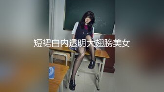 短裙白内透明大翅膀美女